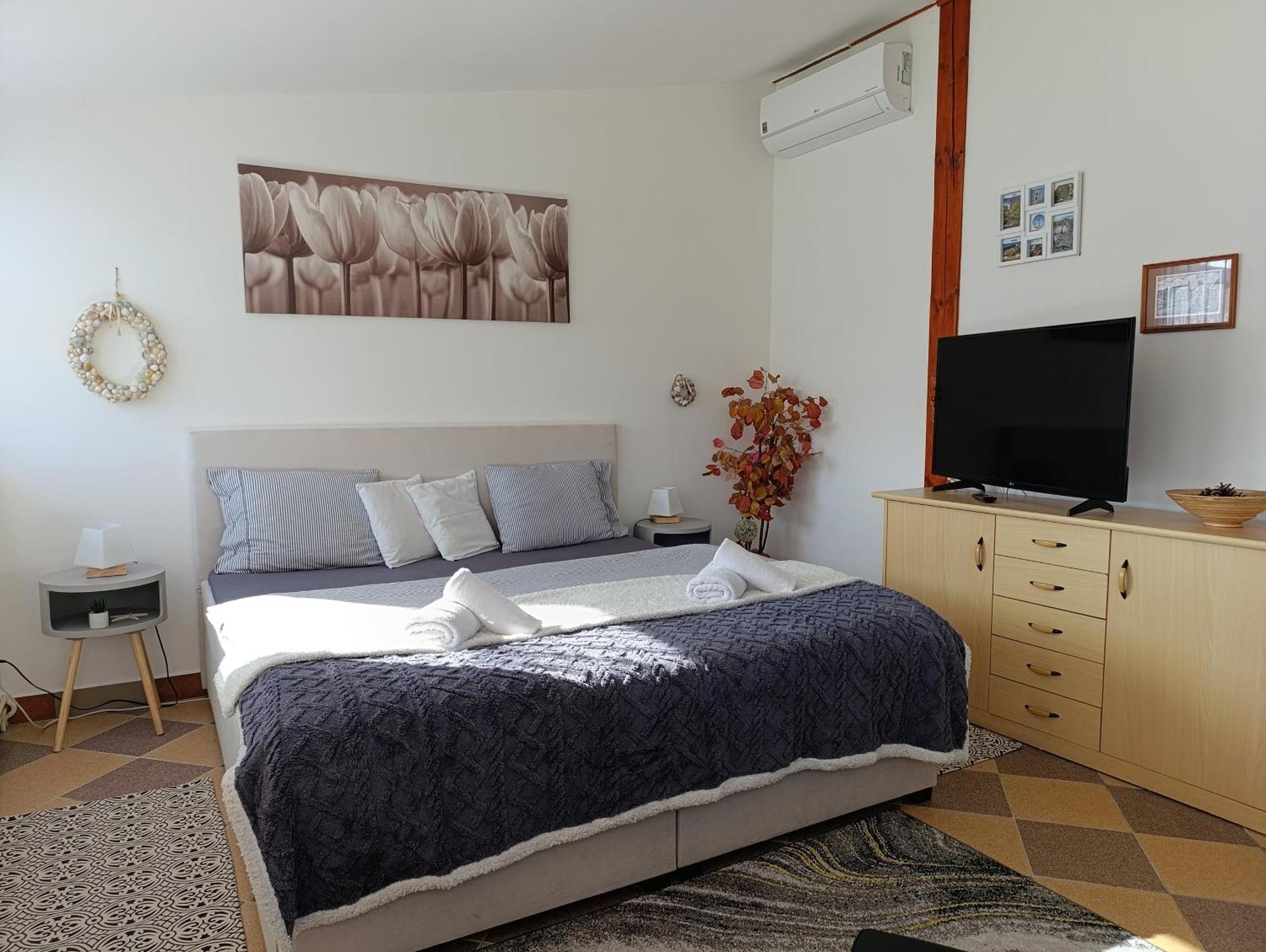 U Bocmana S Vyhledem Na Zamek A Labe Apartman Decin Kültér fotó