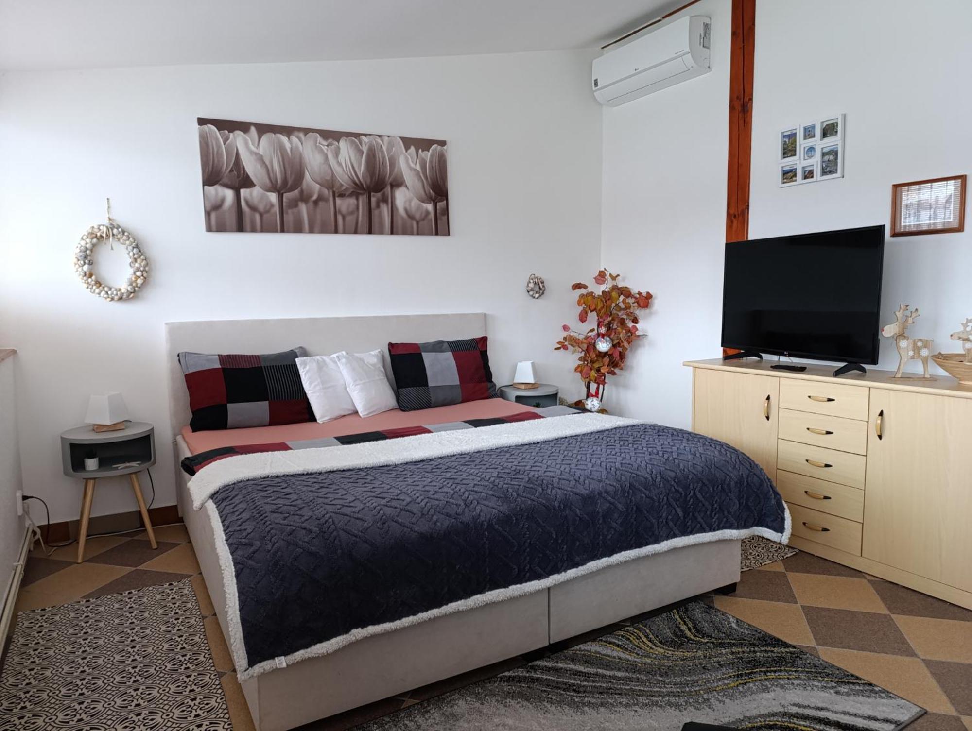 U Bocmana S Vyhledem Na Zamek A Labe Apartman Decin Kültér fotó