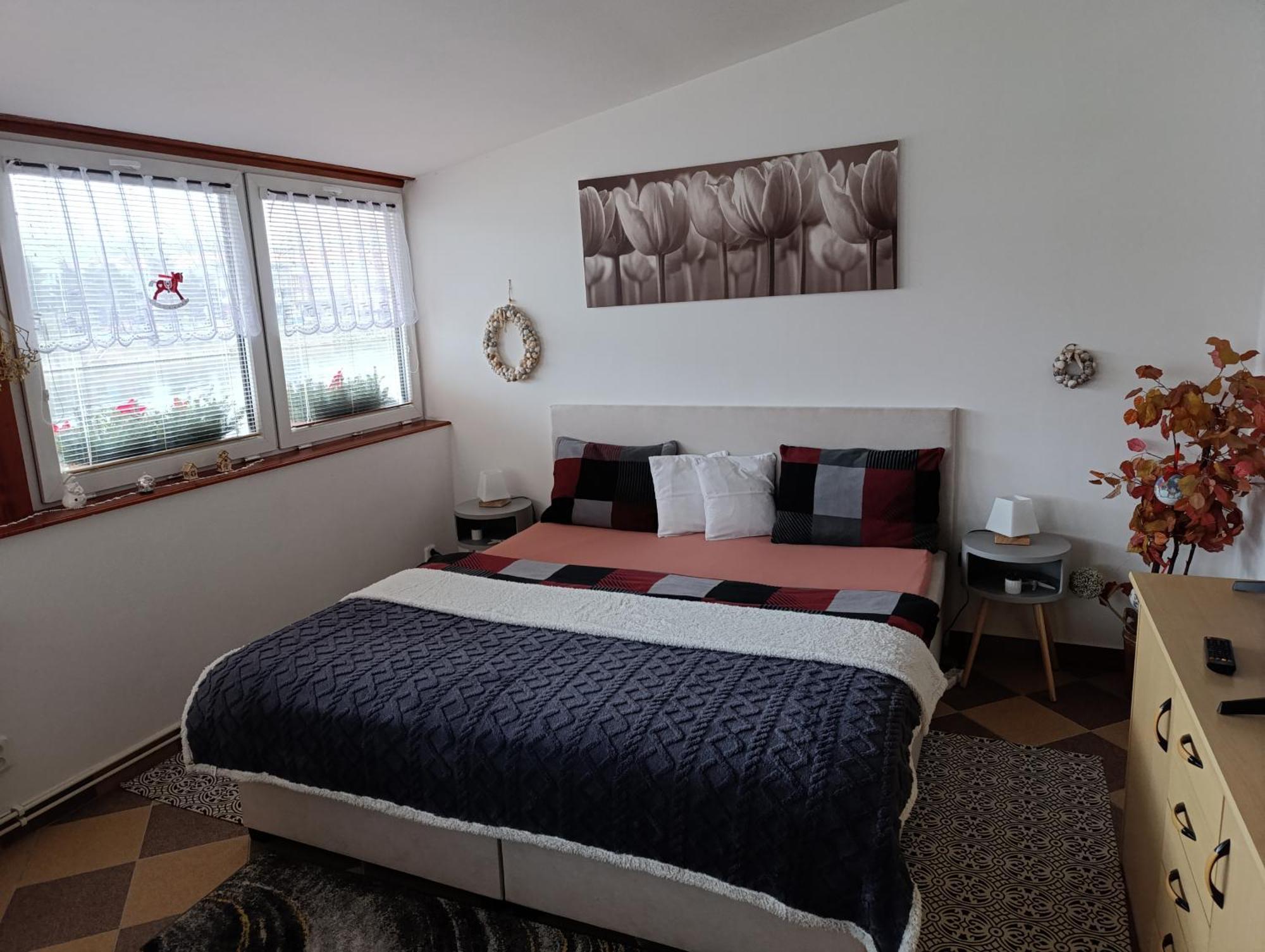 U Bocmana S Vyhledem Na Zamek A Labe Apartman Decin Kültér fotó
