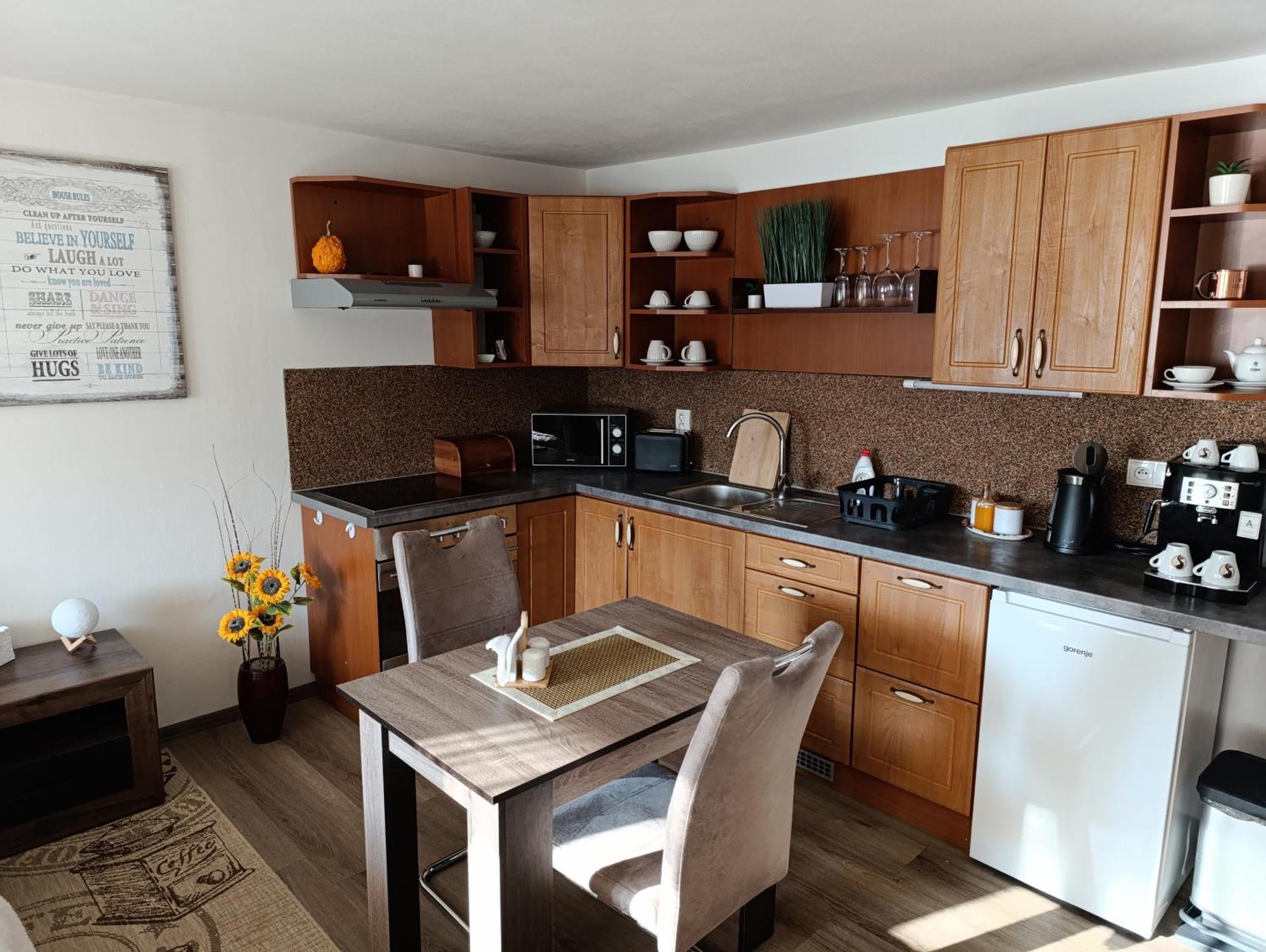 U Bocmana S Vyhledem Na Zamek A Labe Apartman Decin Kültér fotó